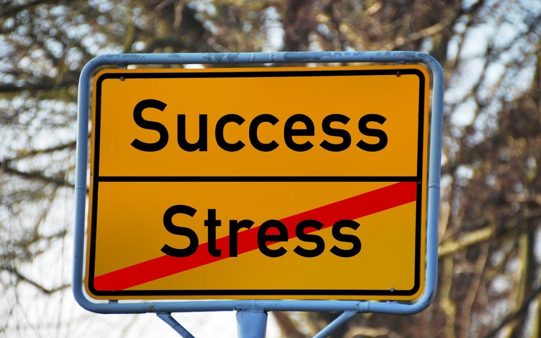 Stress Erfolg Potential entalten